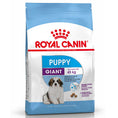 Cargar la imagen en la vista de la galería, Royal Canin Giant Puppy