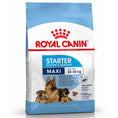 Cargar la imagen en la vista de la galería, Royal Canin Maxi Starter