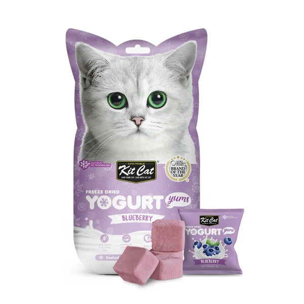 Yogurt Yums Arándano Snack Liofilizado 10g