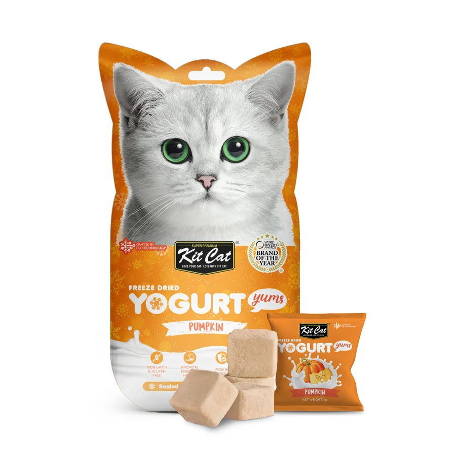 Yogurt Yums Calabaza Snack Liofilizado 10g