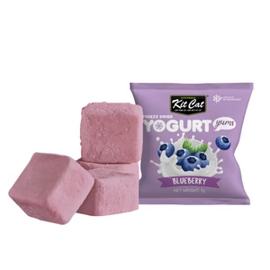 Yogurt Yums Arándano Snack Liofilizado 10g