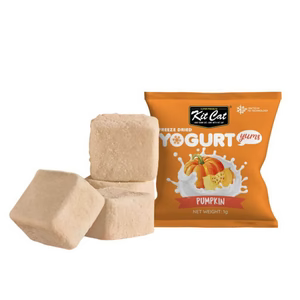 Yogurt Yums Calabaza Snack Liofilizado 10g