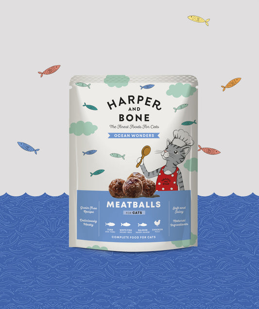 Albóndigas para gatos Ocean Wonders