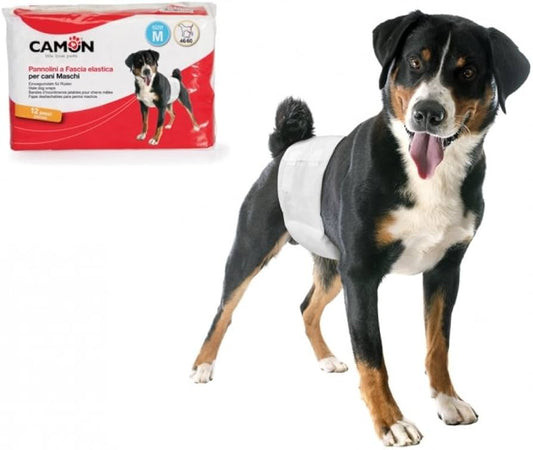 Camon - 12 Pañales Bandeau Macho Perros Talla M