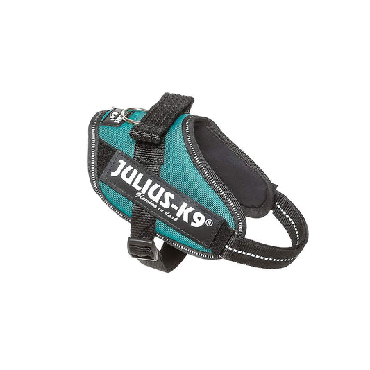 Arnés Julius-K9 IDC Azul Petróleo