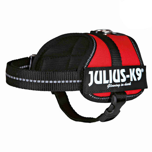 Arnés Julius-K9 Power Rojo