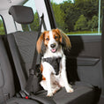 Cargar la imagen en la vista de la galería, Arnés para Coche Dog Comfort
