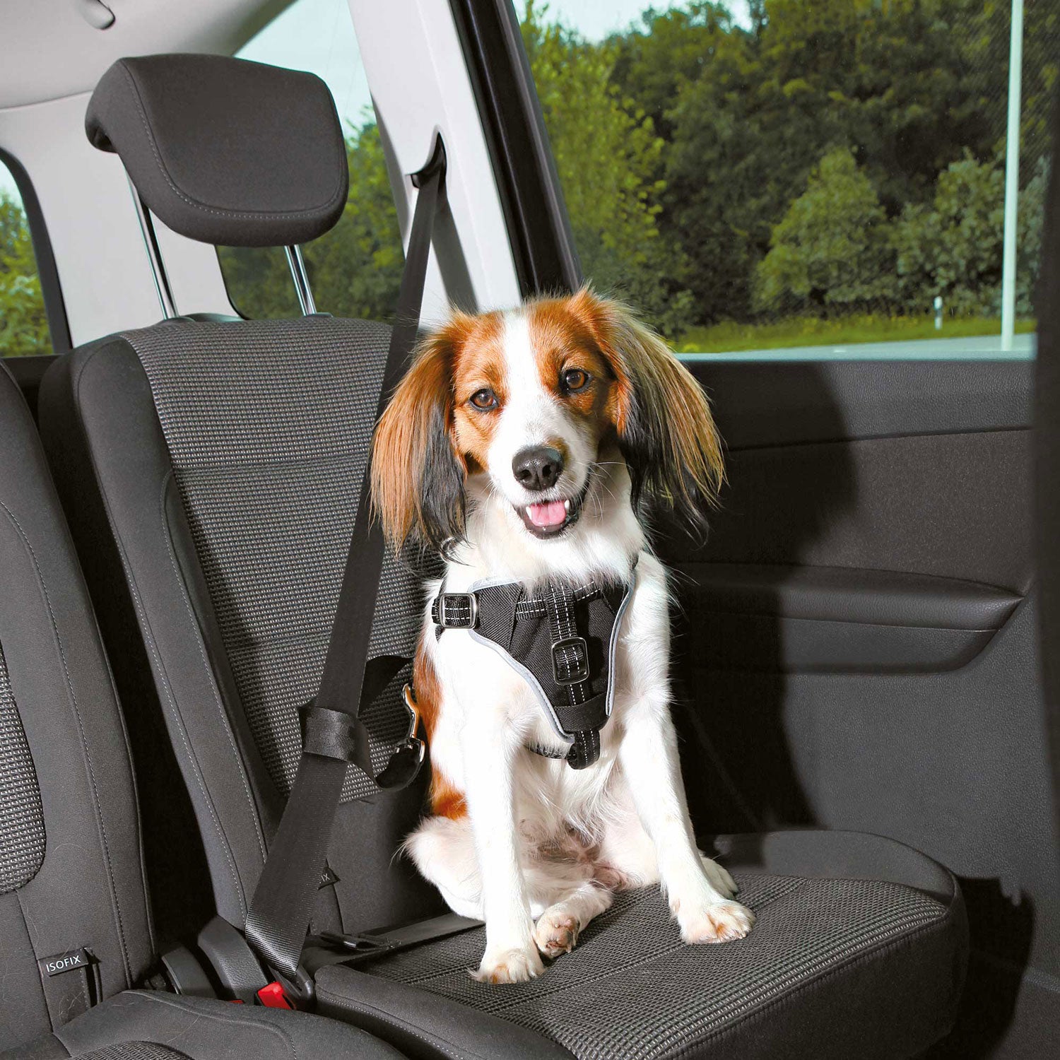 Arnés para Coche Dog Comfort