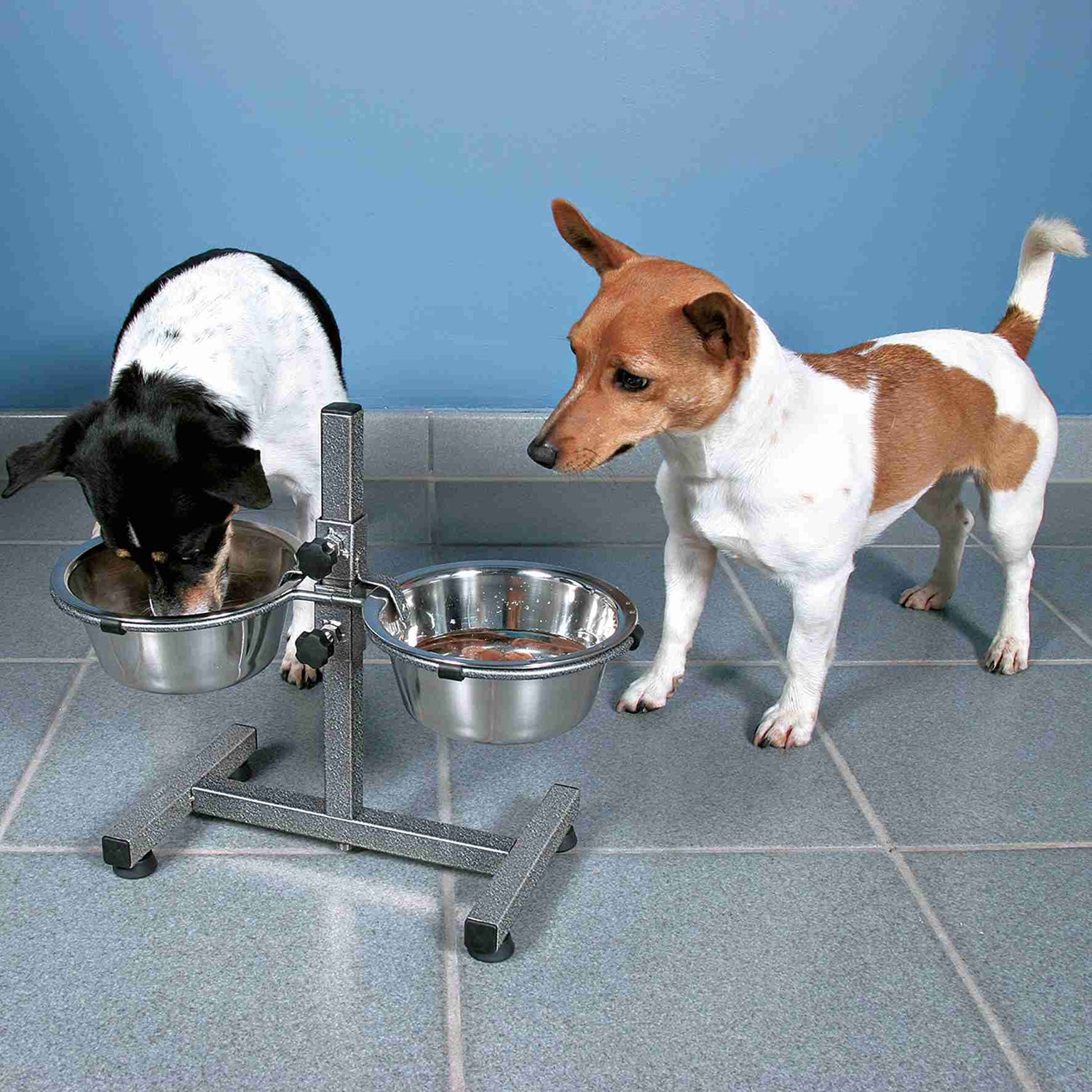 Soporte Comederos Perro