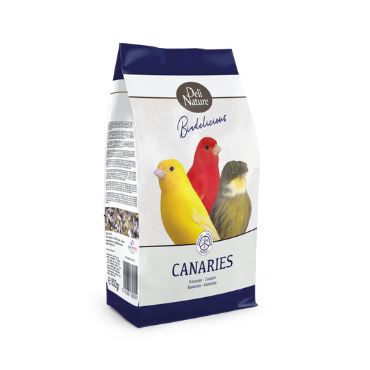 Birdelicious Canarios