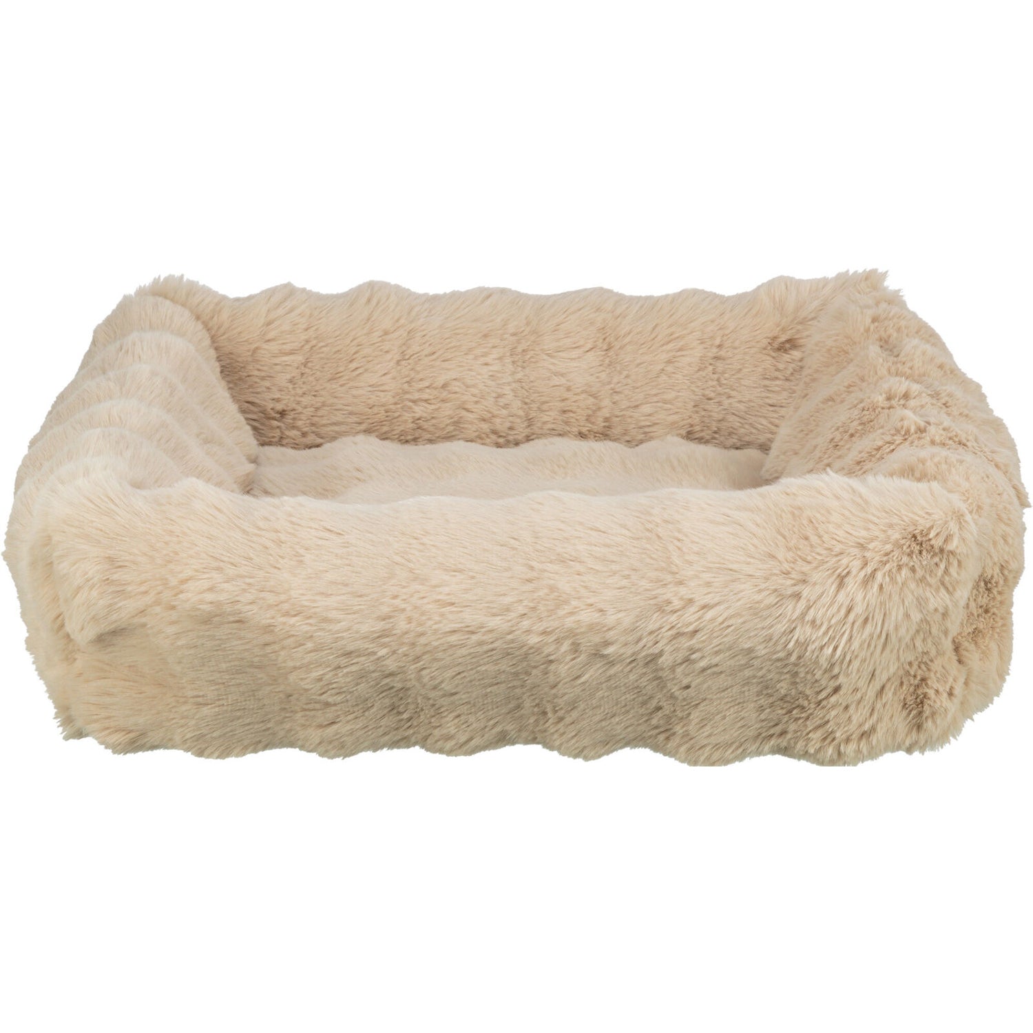 Cama Elli, arena