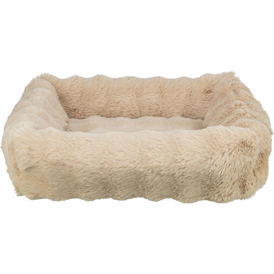 Cama Elli, arena