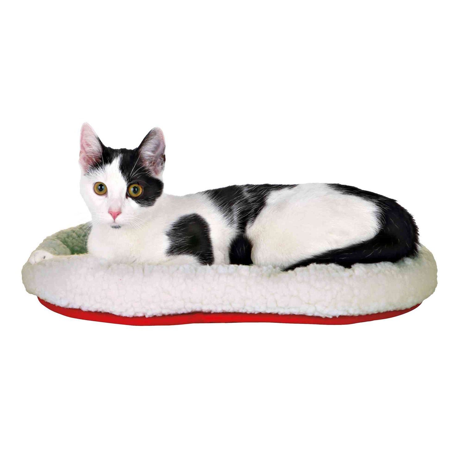 Cama Acolchada, reversible