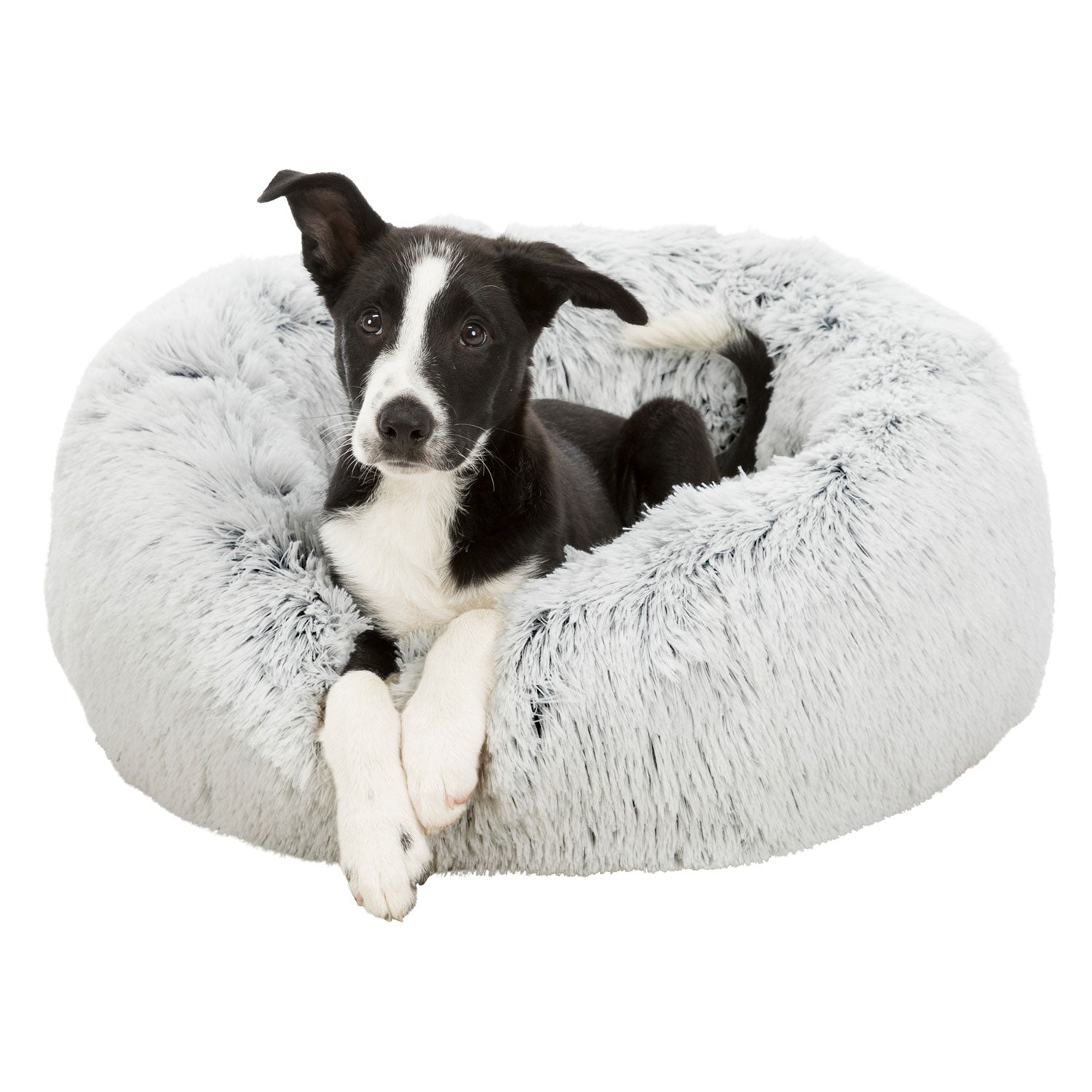 Cama Harvey