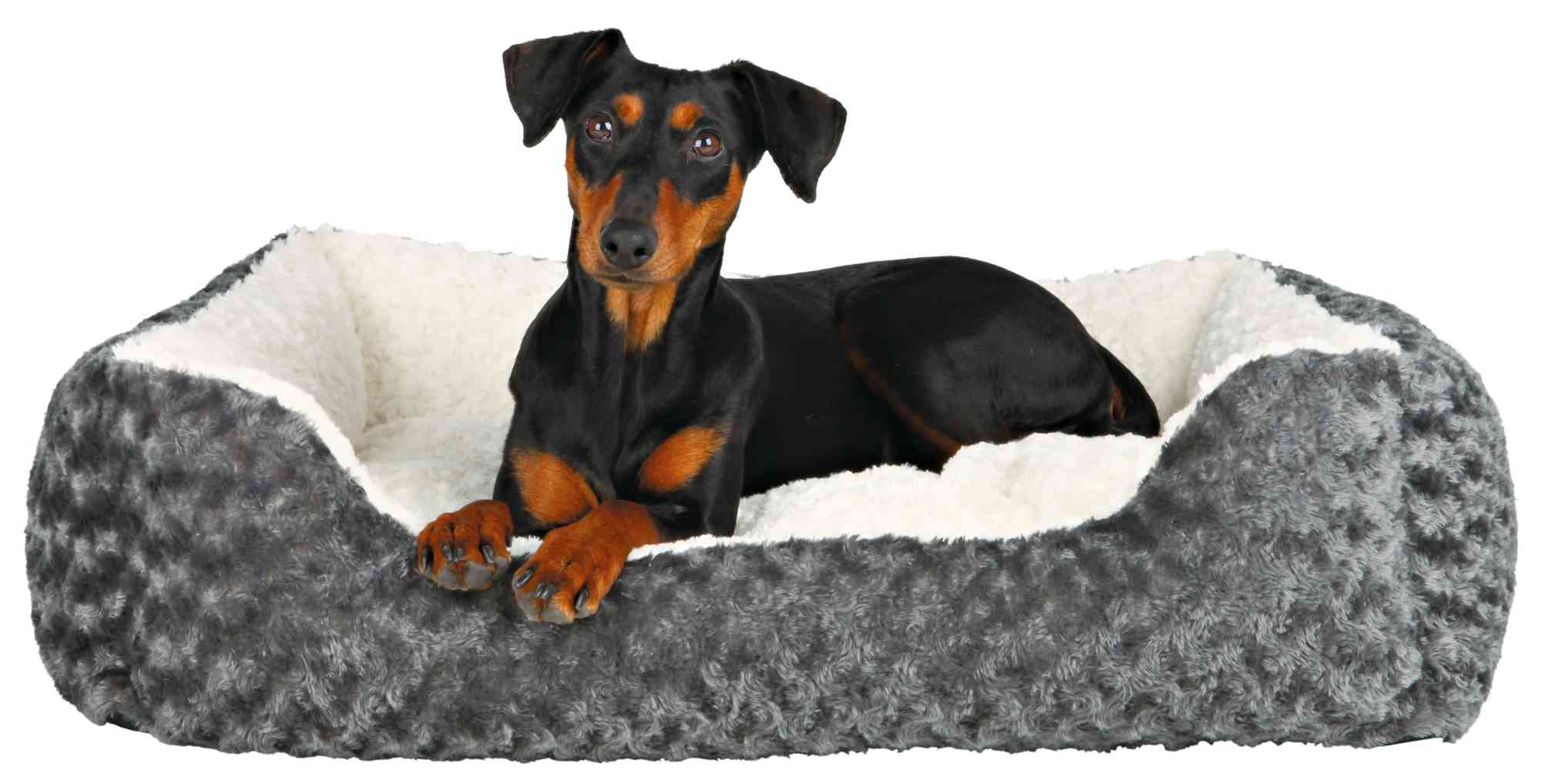 Cama Kaline