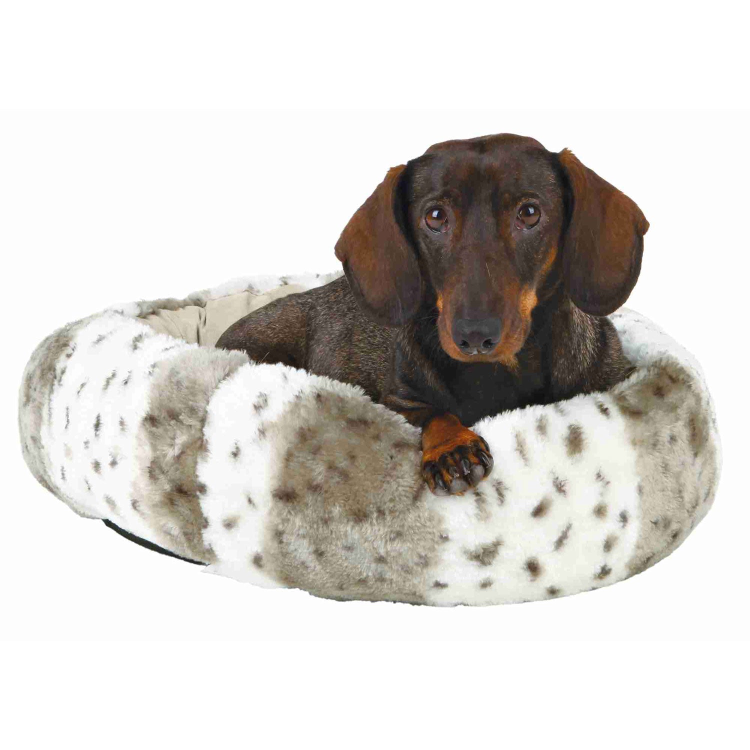 Cama Leika