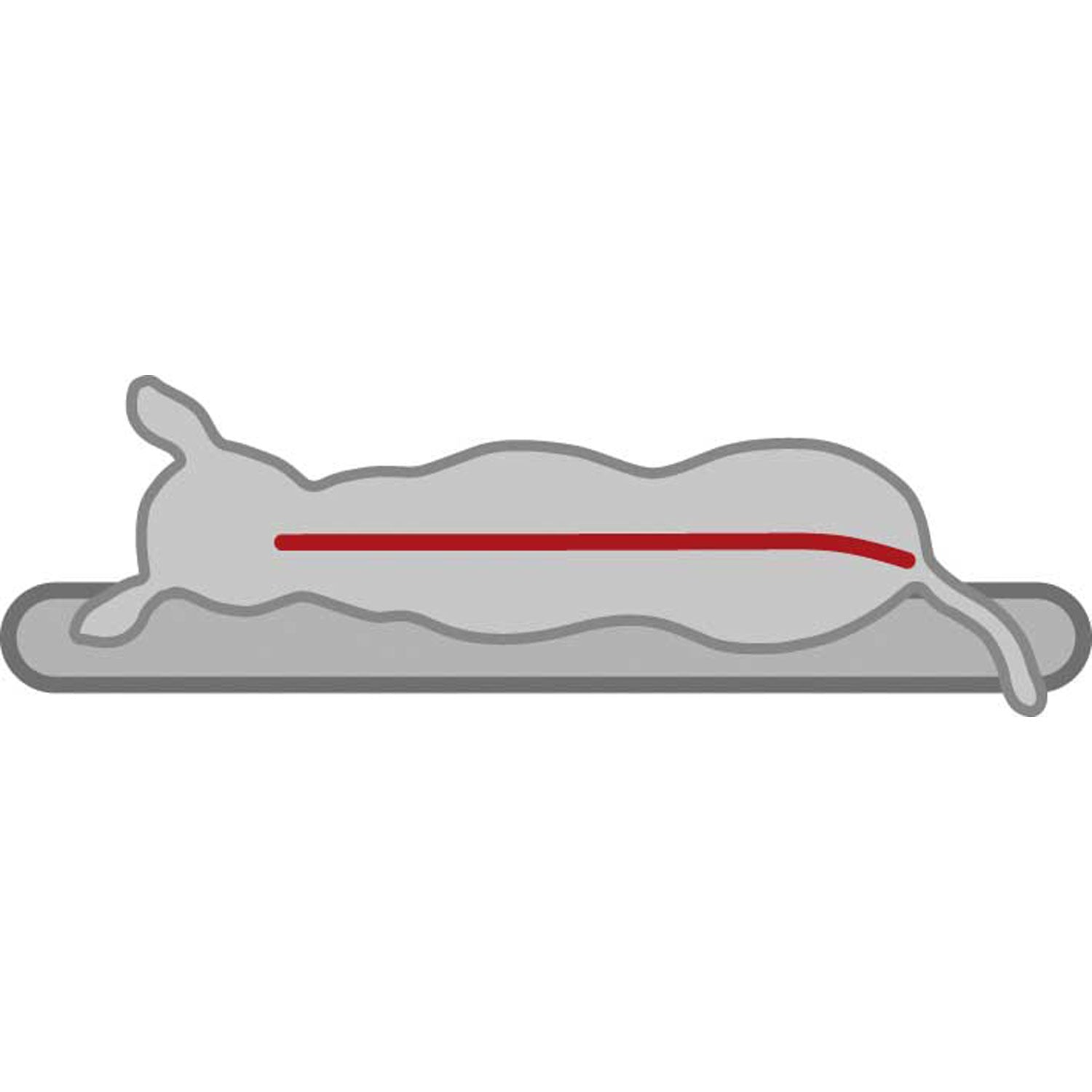 Cama Vital Lino