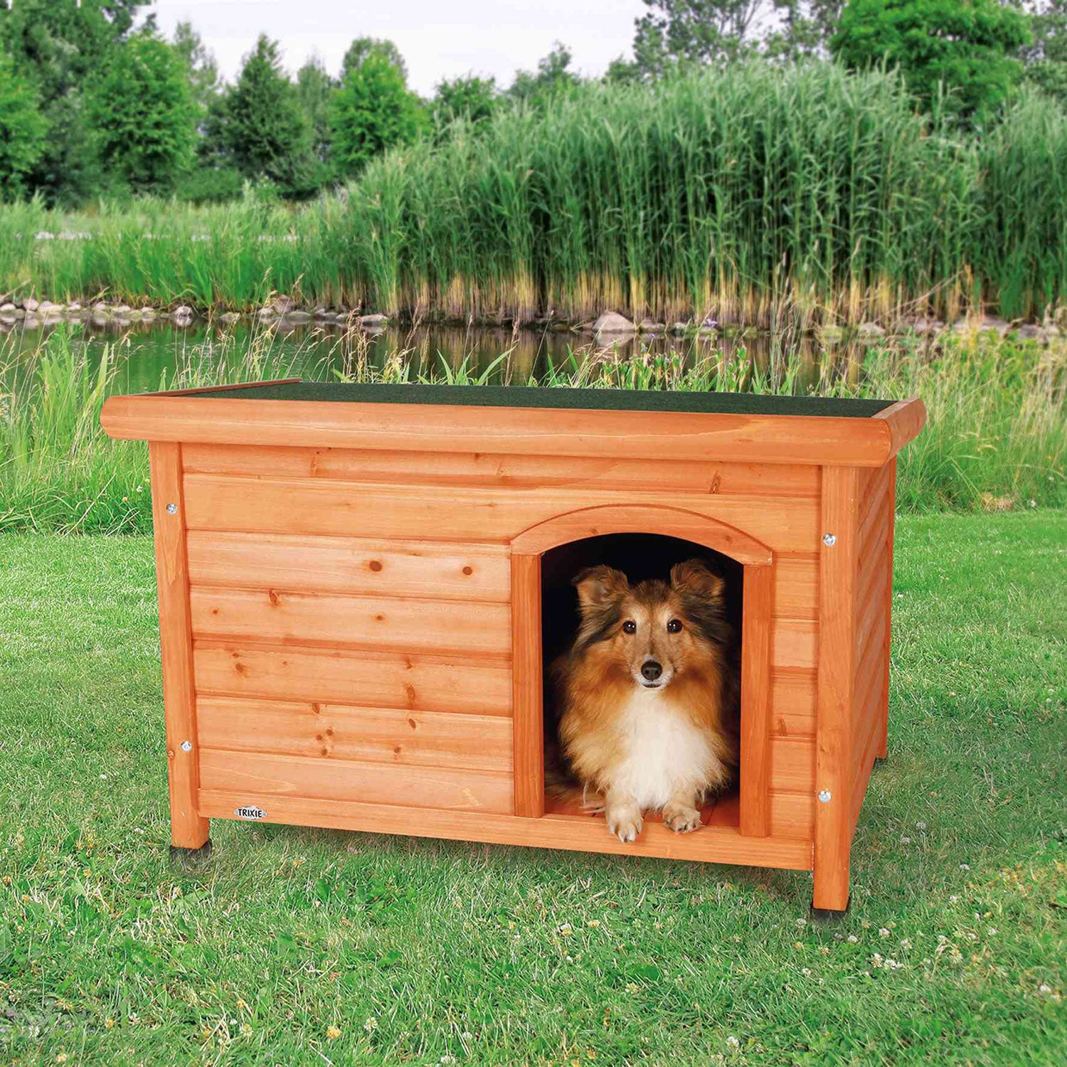 Caseta Perros Classic
