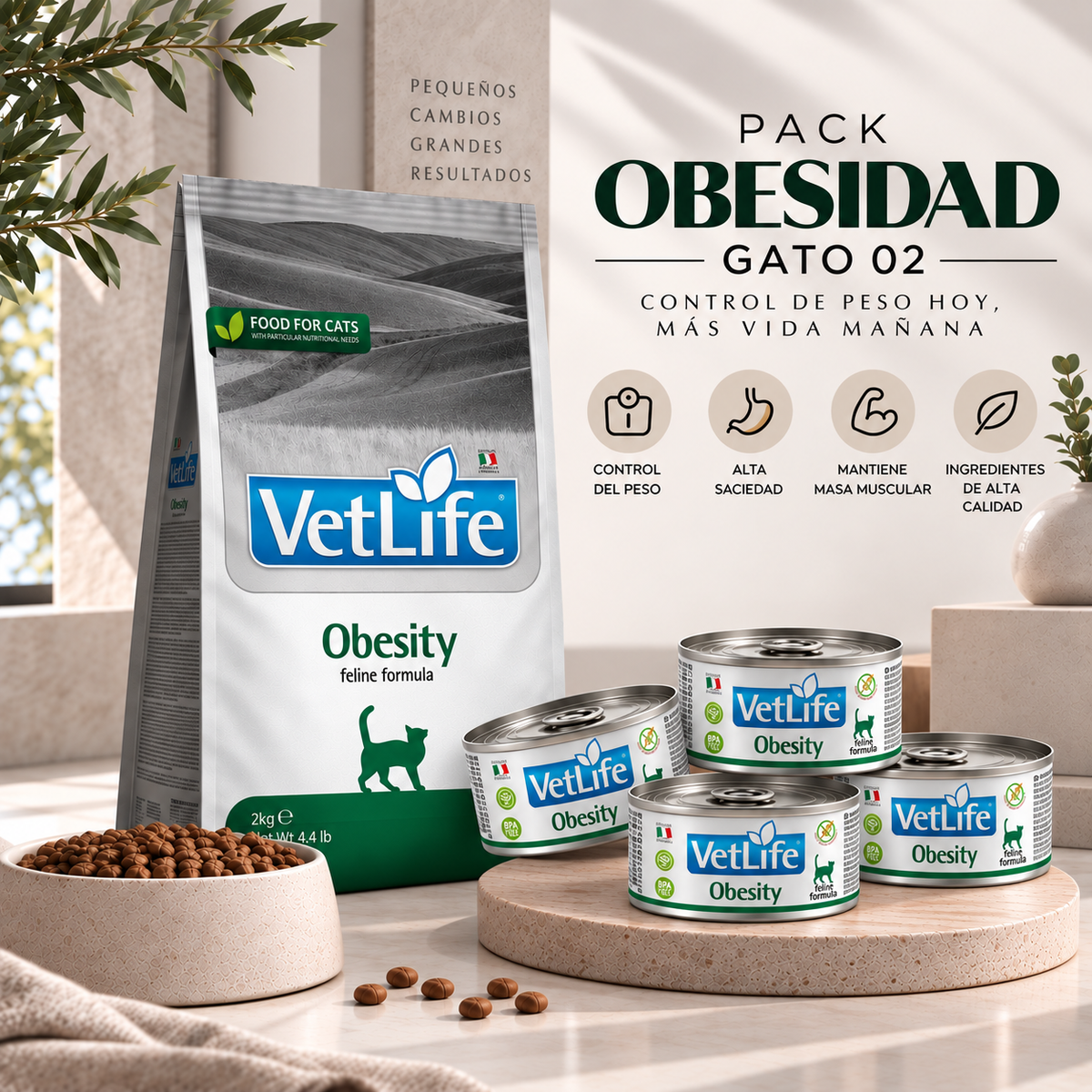 PACK OBESIDAD GATO 2