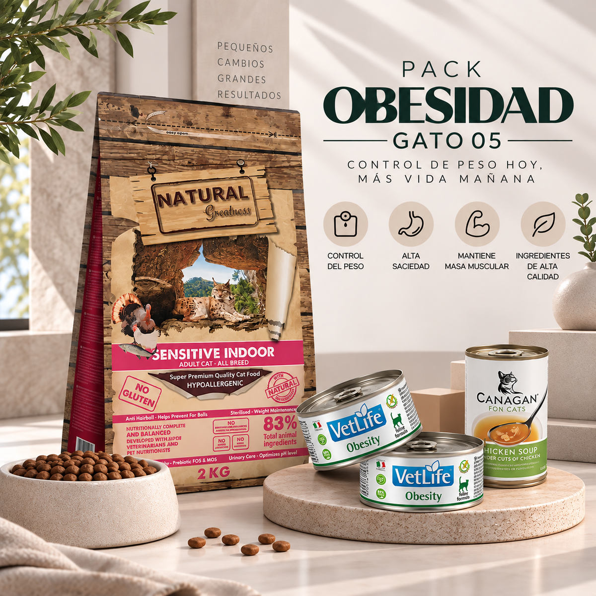 PACK DE OBESIDAD GATO 05