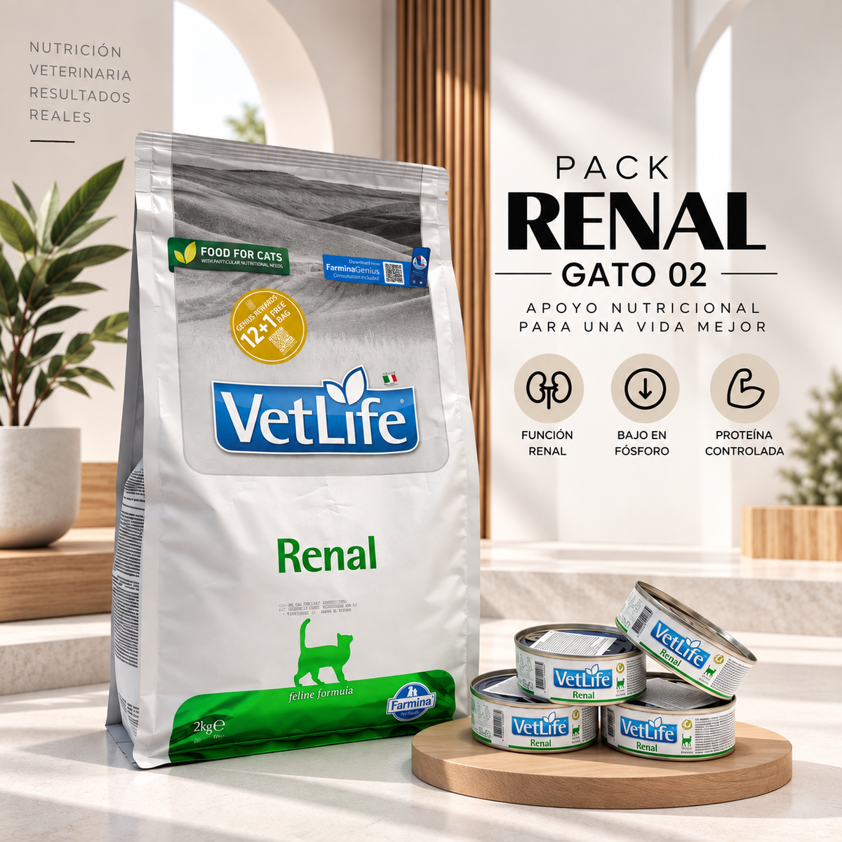 PACK RENAL GATO 02