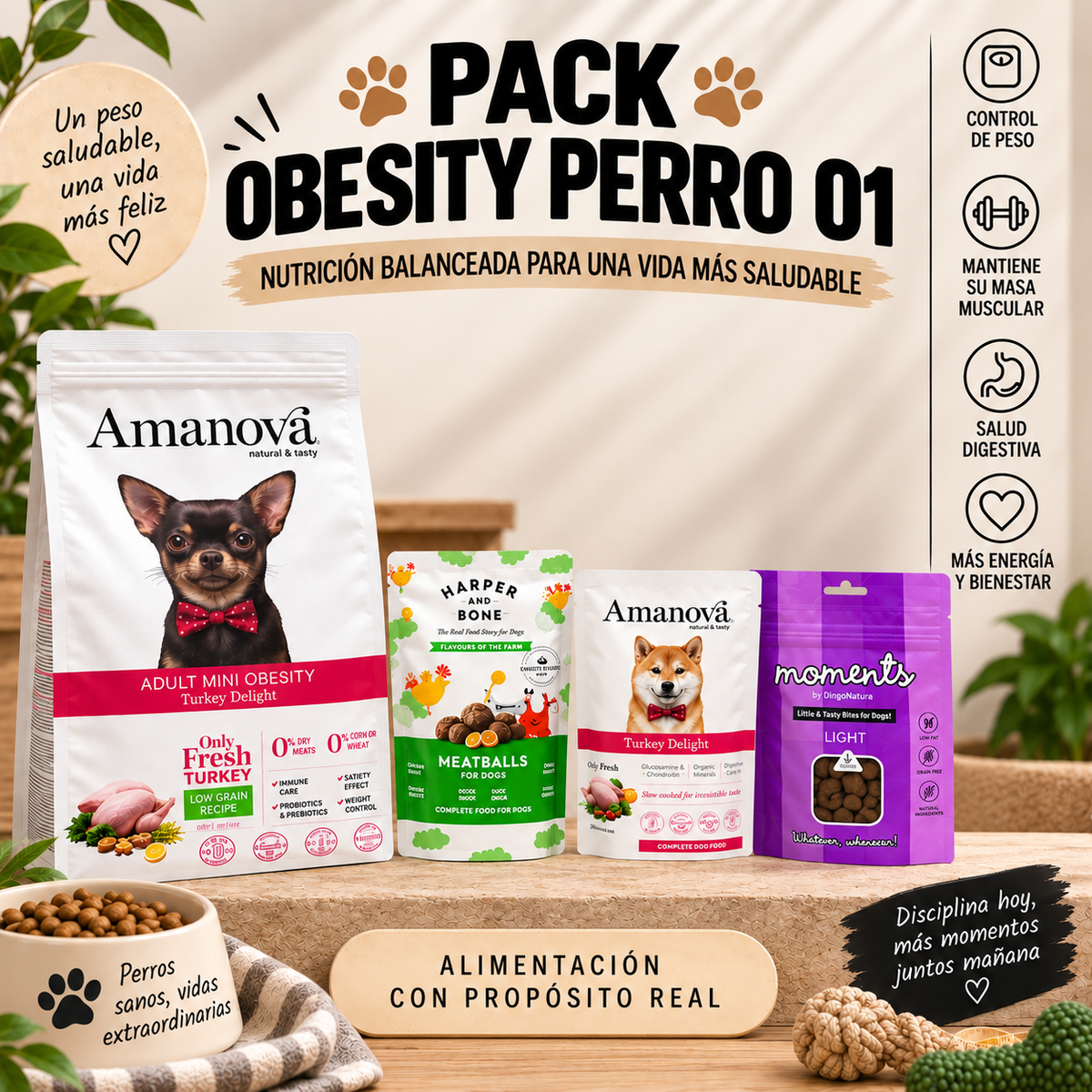 PACK OBESIDAD PERRO 1