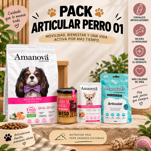 PACK SENIOR PERRO 1