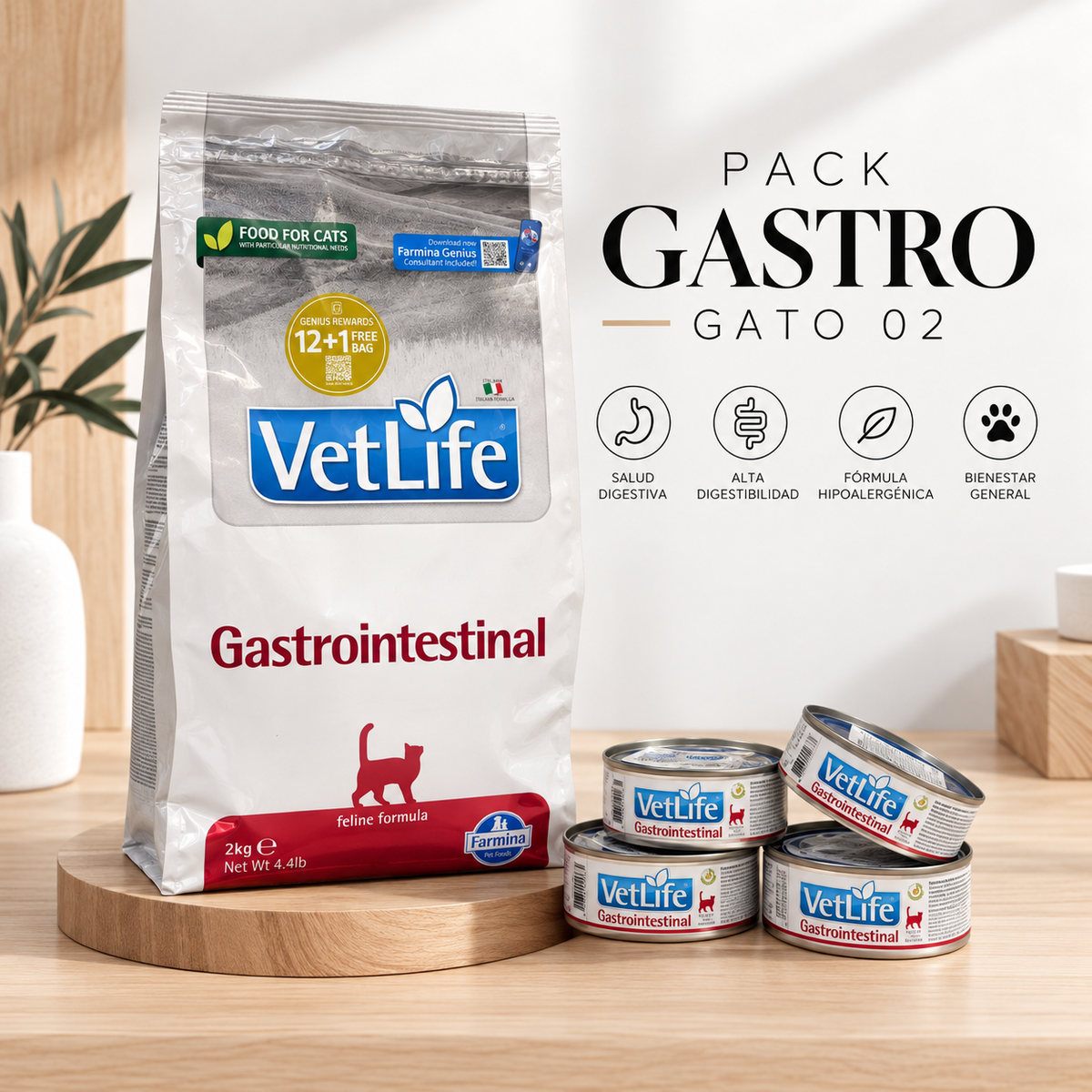 PACK GASTRO GATO 02
