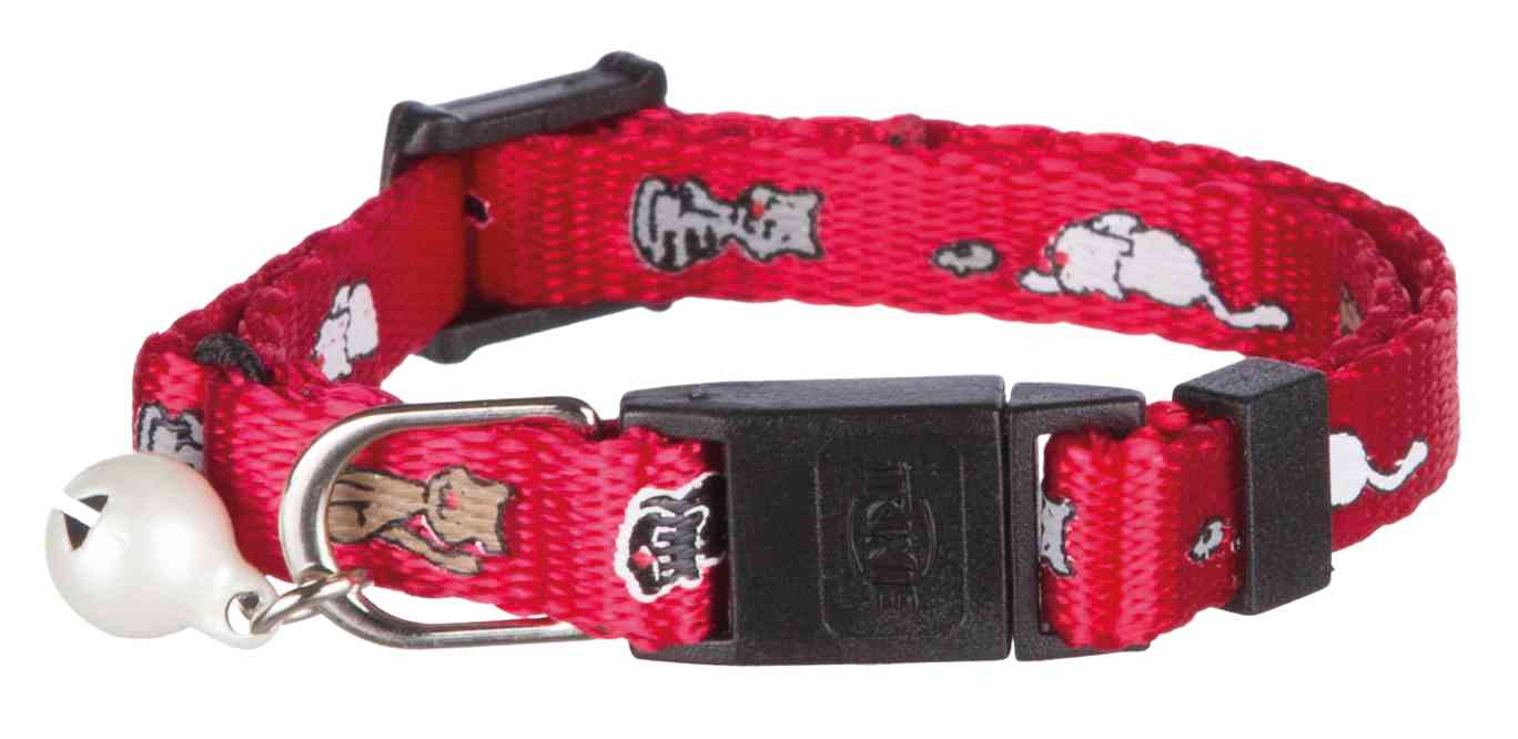 Junior Collar Gatitos