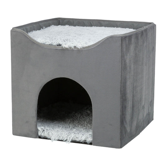 Cueva Harvey