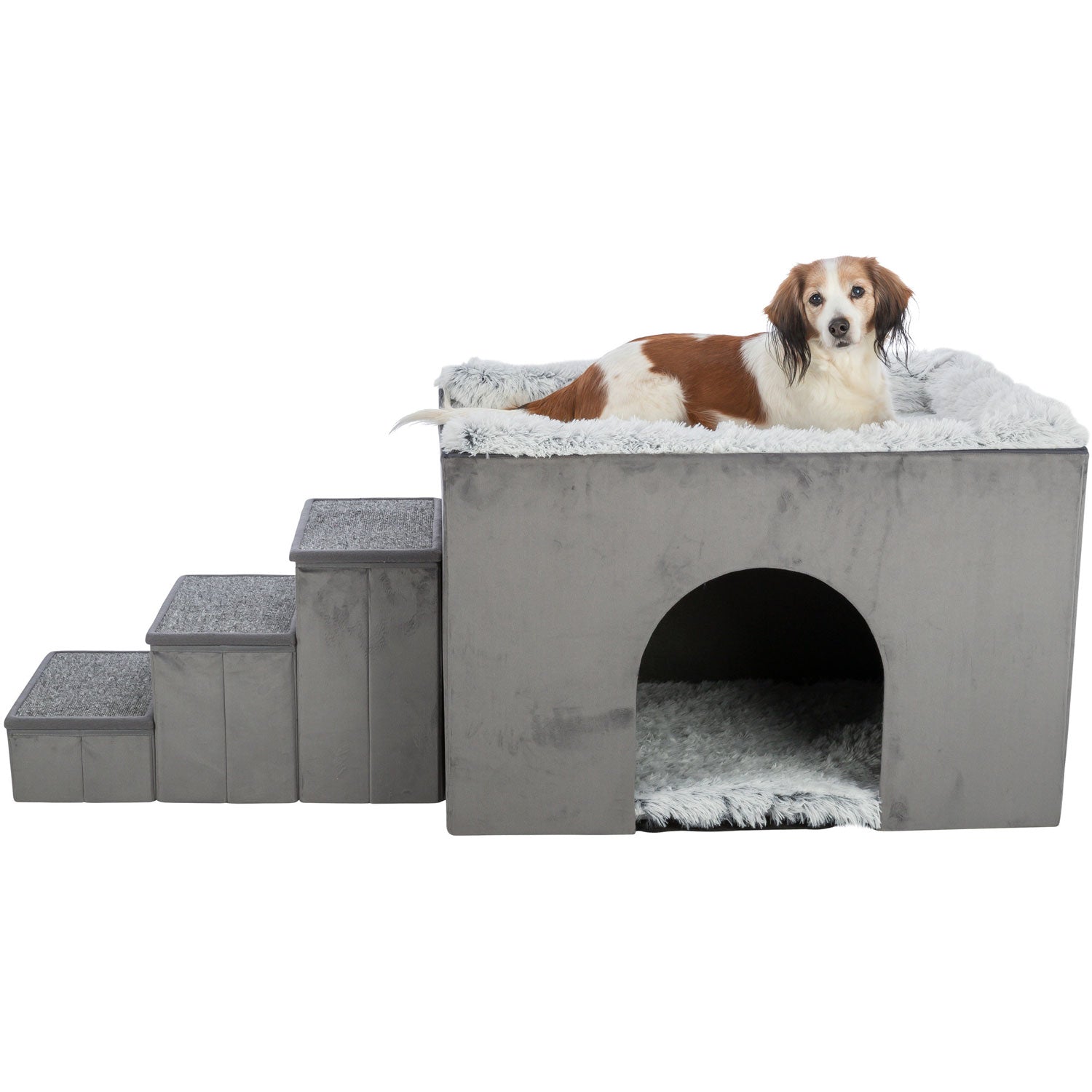 Cueva Harvey con escaleras