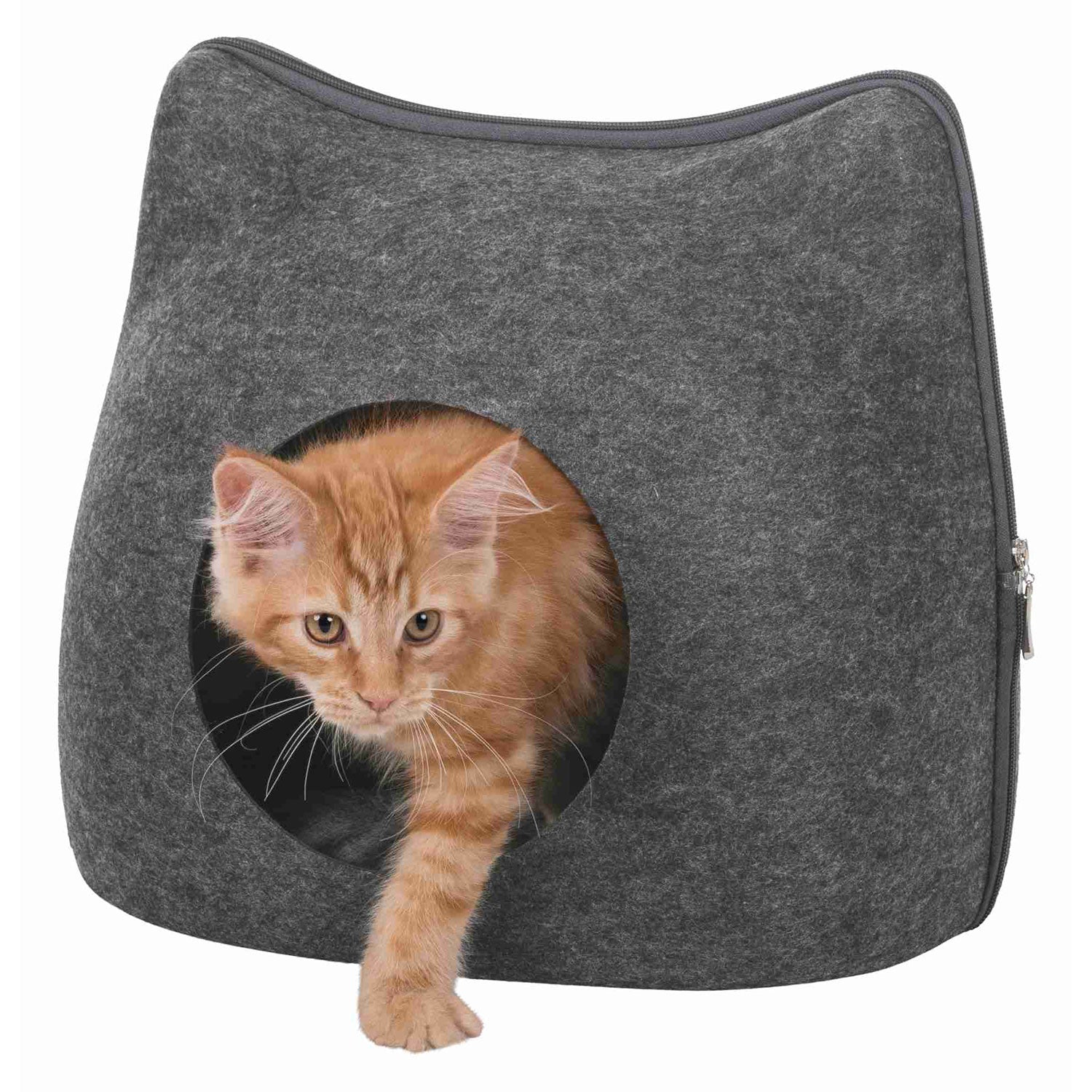 Cueva Suave Cat