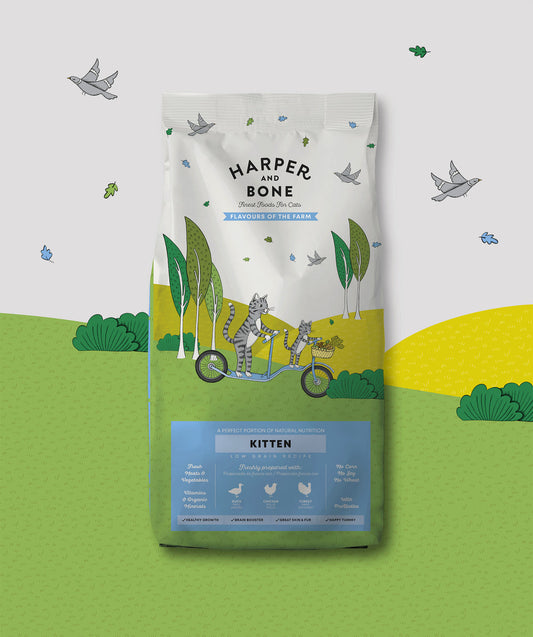 Kitten Flavours of the Farm