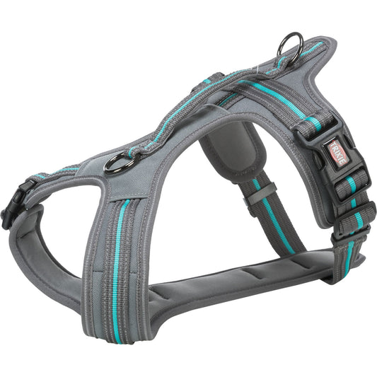 Fusion Arnés Confort