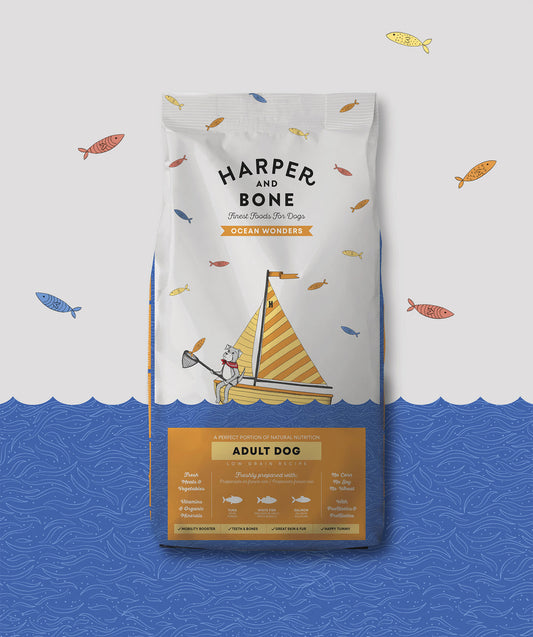 Adult dog Ocean Wonders