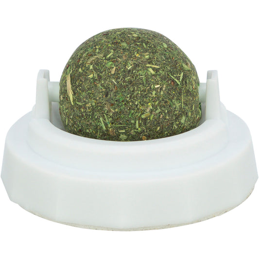 Pelota Catnip con soporte