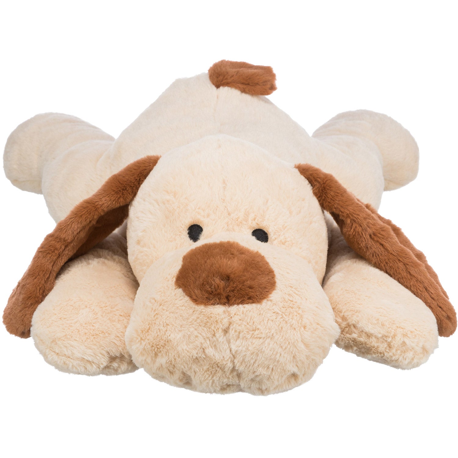 Perro mimado Benny