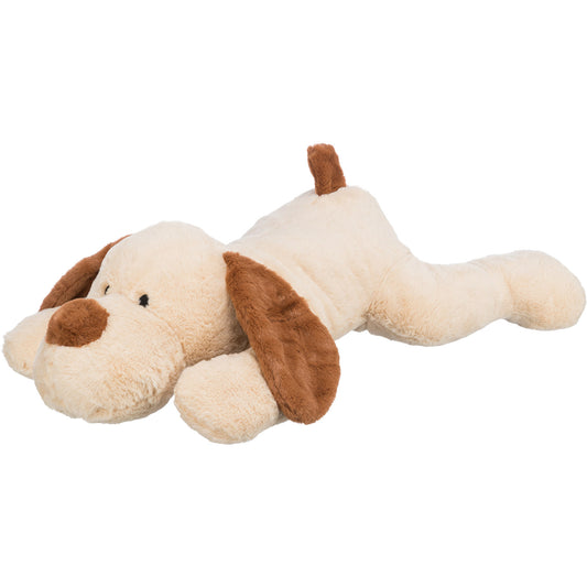 Perro mimado Benny