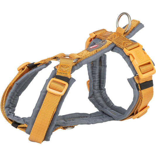 Premium Arnés Trekking
