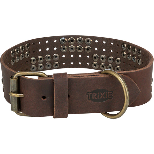 Rustic Collar de piel engrasada Remaches, extra ancho