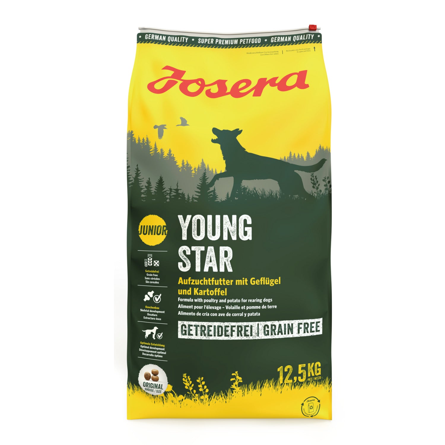 YoungStar: Con Ave de Corral