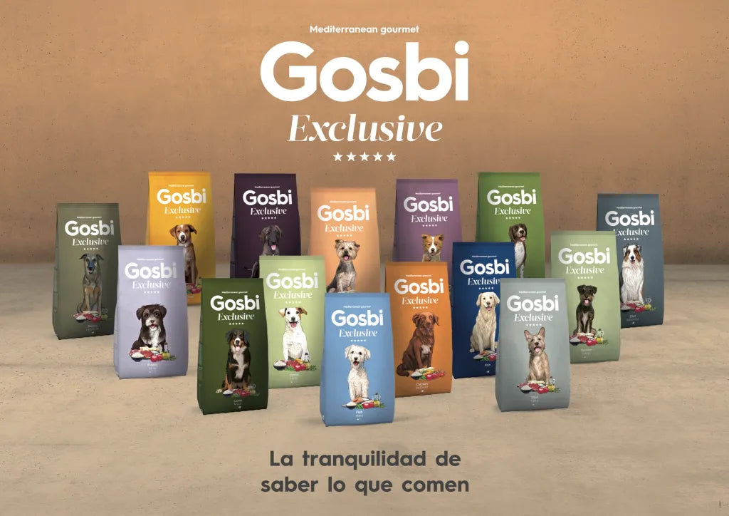 DISPONIBLE EN TIENDA | Gosbi Exclusive