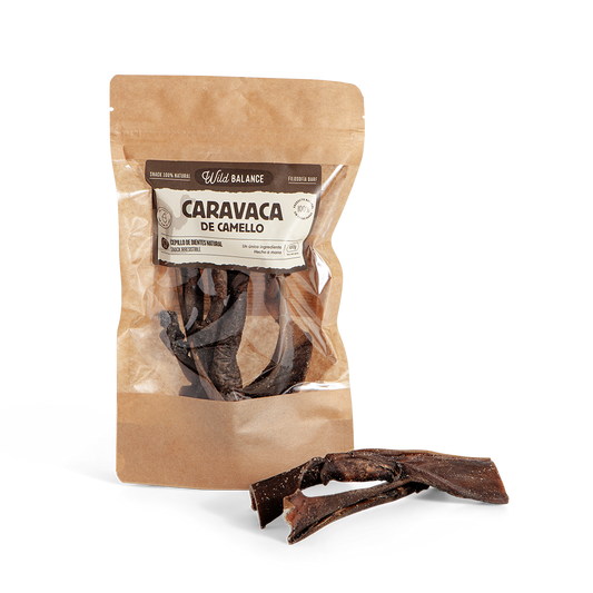 Caravaca de camello