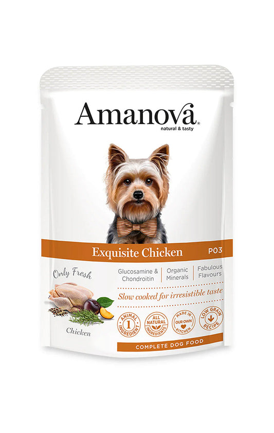 P03 ADULT DOG Pollo fresco