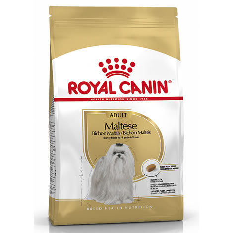 Royal Canin Bichón Maltés