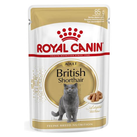 Royal Canin british shorthair húmedo