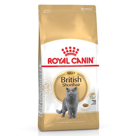 Royal Canin British Shorthair