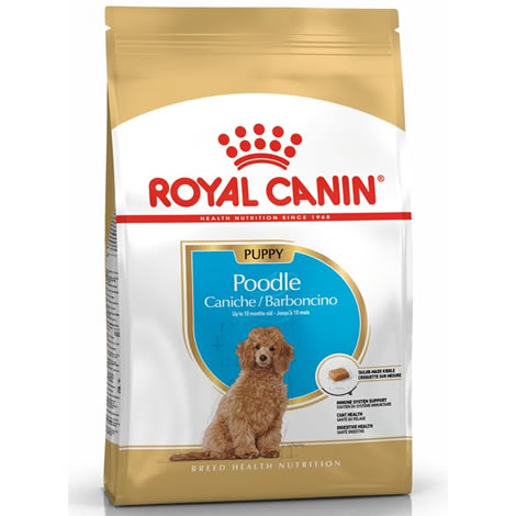 Royal Canin Caniche Junior