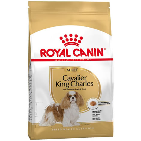 Royal Canin Cavalier King Charles