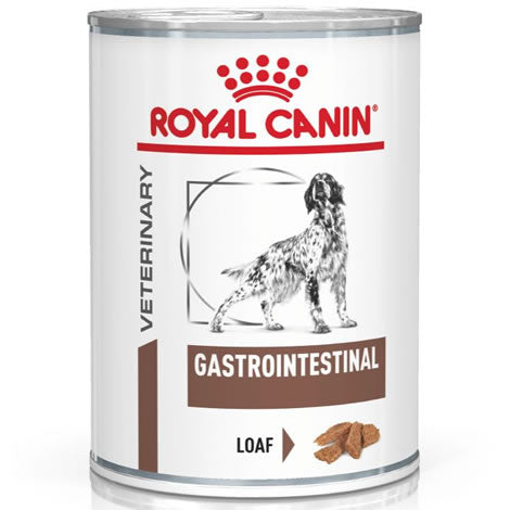 Royal Canin Gastro Intestinal Dog Húmedo